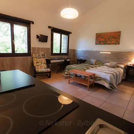 Gorosarri בית כפרי