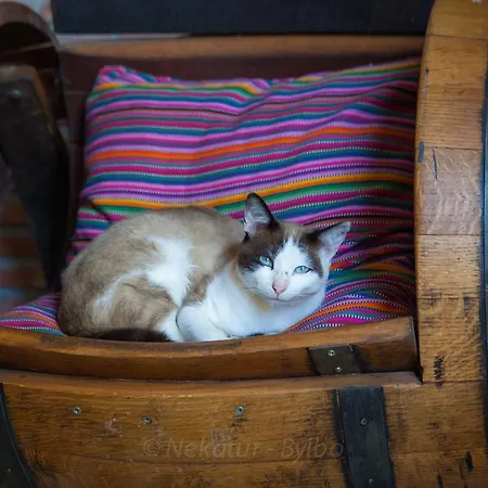 Gorosarri 컨트리하우스