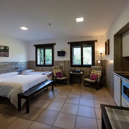 Apartment Gorosarri *