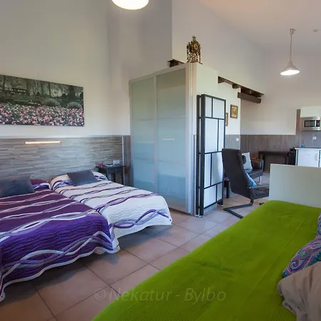 컨트리하우스 Gorosarri *