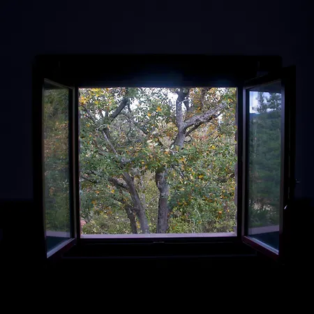 Gorosarri * Escoriaza