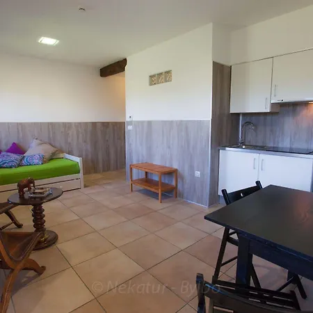 Gorosarri Apartment *