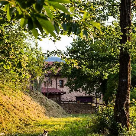 Gorosarri Летний дом