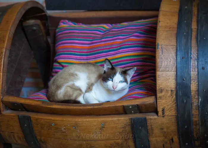 Gorosarri Casa di campagna