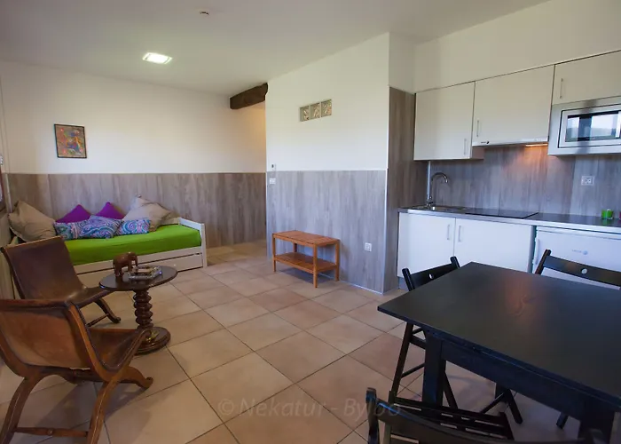 ゴロサリ カントリーハウス Escoriaza